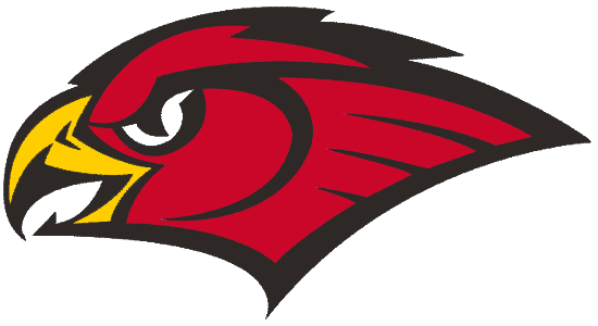 Atlanta Hawks 1998-2007 Secondary Logo t shirts iron on transfers